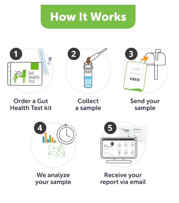DoggyBiome™ Gut Health Test kit how it works