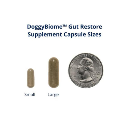 DoggyBiome™ Gut Health Test kit capsule size