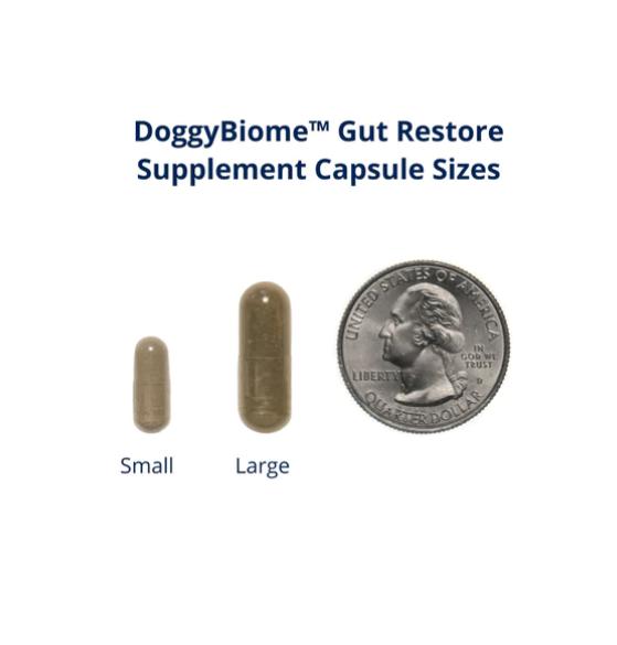 The image displays two sizes of DoggyBiome Gut Restore Supplement capsules next to a U.S. quarter for size comparison. The small capsule is about half the height of the large capsule. The large capsule is about the same height as the quarter. The text above the capsules reads 'DoggyBiome Gut Restore Supplement Capsule Sizes.' The small and large capsules are labeled accordingly.