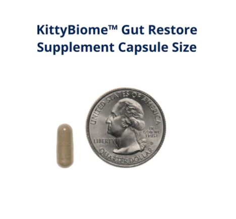 FMT Gut Restore Capsules For Cats capsule size