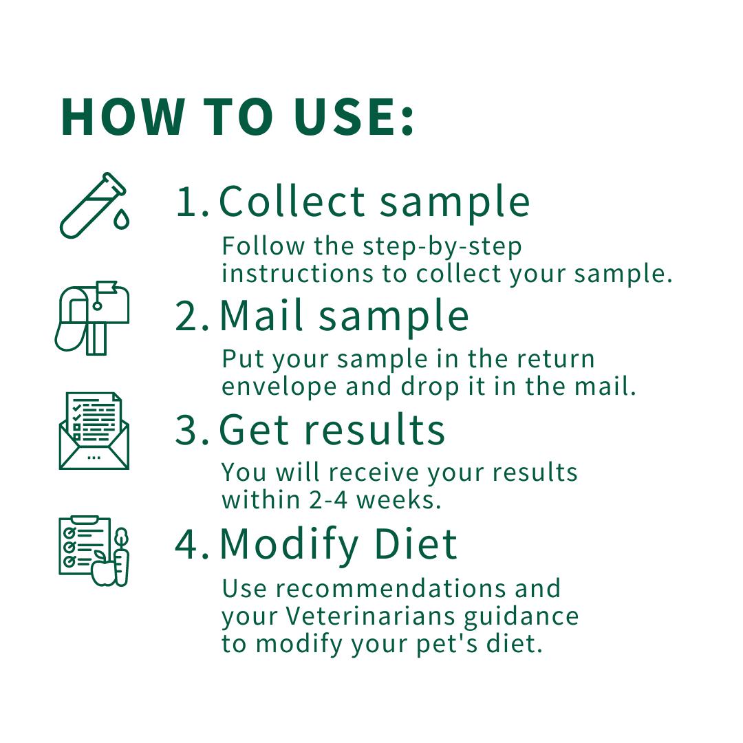 Omega 3 Index Omega 3 Fatty Acids Test Kit for Dogs