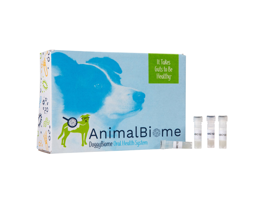 DoggyBiome™ Oral Health Test (Two Tests)