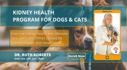KIDNEY HEALTH PROGRAM FOR DOGS & CATS description